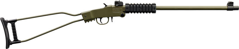 CHIAPPA LITTLE BADGER 22LR