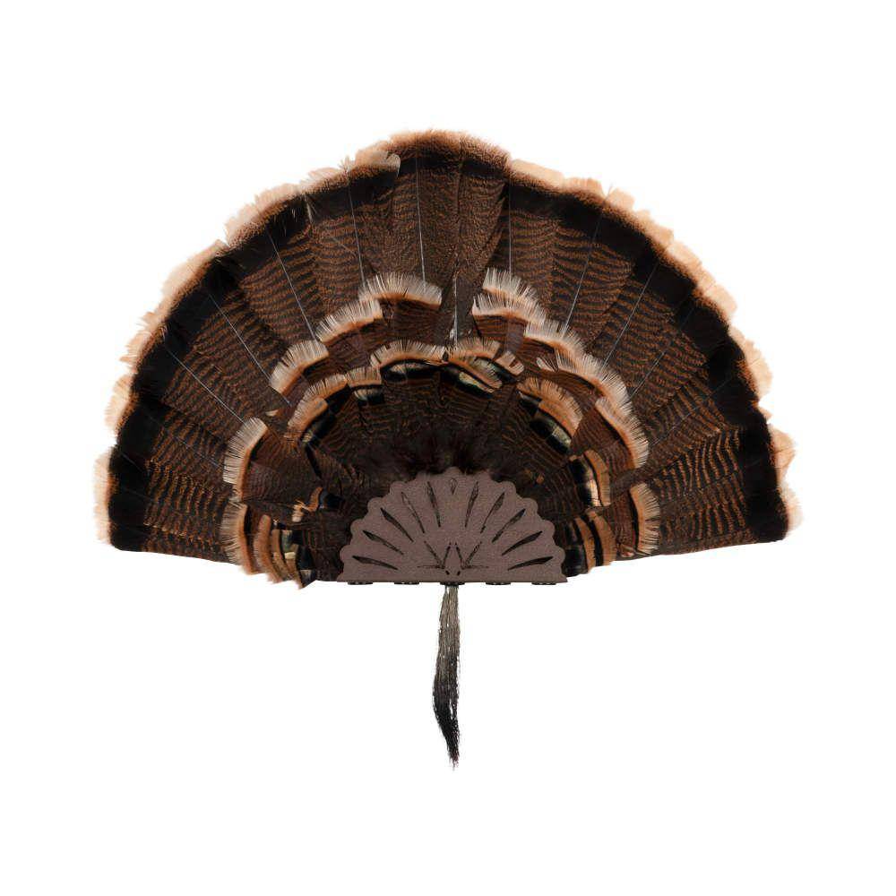 Allen EZ Mount Stackable Turkey Fan and Beard Display - Image 7