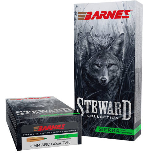 BARNES STEWARD 6MM ARC 80GR