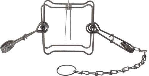 DUKE TRAPS #160 BODY TRAP
