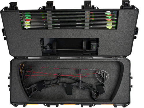 PELICAN VAULT PARALLEL LIMB