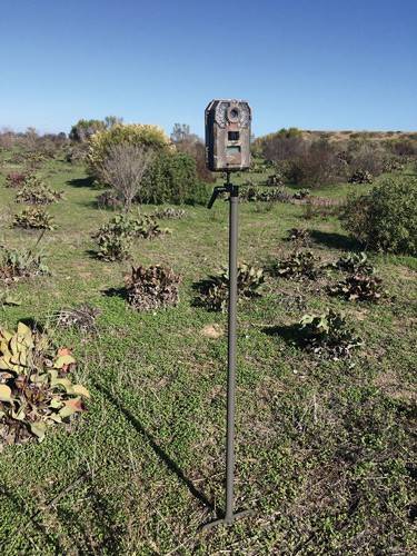 STEALTH CAM TRAIL CAM MOUNTING
