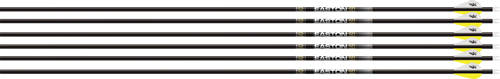 EASTON ARROW 5.0 300 2" BLAZER