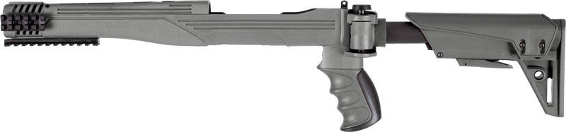 ADV TECH RUGER 10/22 STRIKE