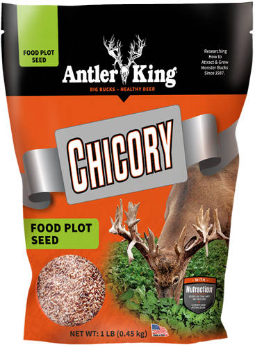 ANTLER KING CHICORY 1# BAG