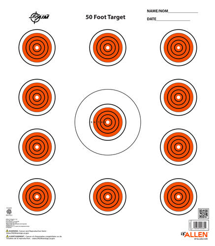 ALLEN EZ AIM 11 SPOT TARGET
