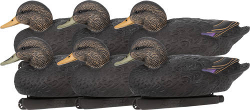 ZINK FLOATER DECOYS BLACK DUCK