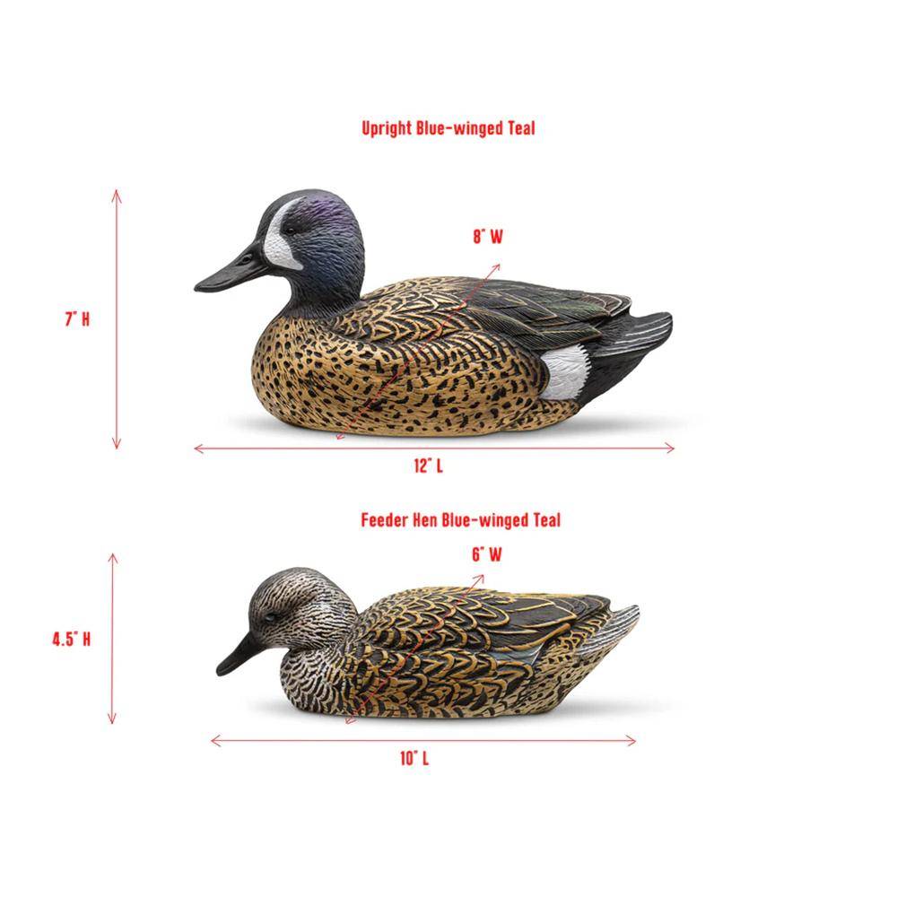 Rig'Em Right Mainline Series Blue-Winged Teal Duck Decoy 12/ct - Image 7