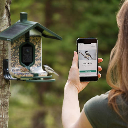 Tactacam FeatherSnap Scout Seed Bird Feeder - Image 13