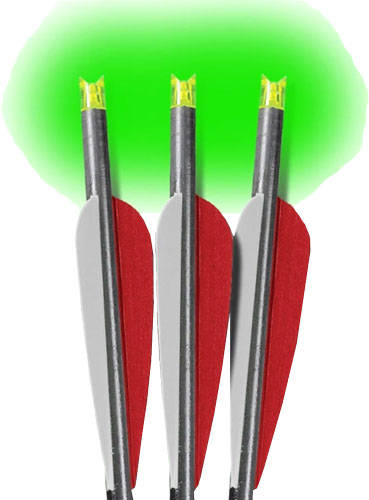 LUMENOK XBOW ARROW 20" BARNETT