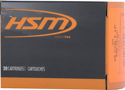 HSM 45 LC+P 300GR XTP HOLLOW