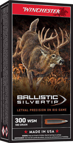 WINCHESTER SUPREME 300 WSM