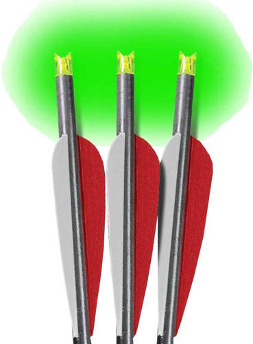 LUMENOK XBOW ARROW 22" BARNETT