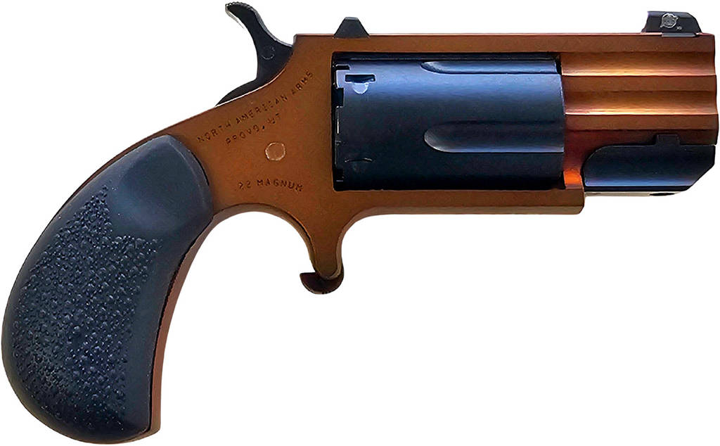 NAA MINI-REVOLVER "PUG" 22WMR