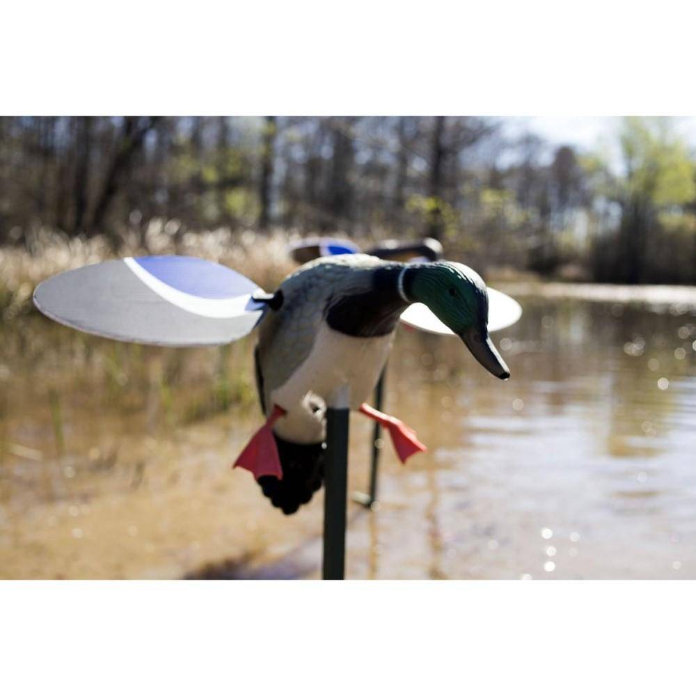 MOJO BABY MOJO DRAKE DECOY!