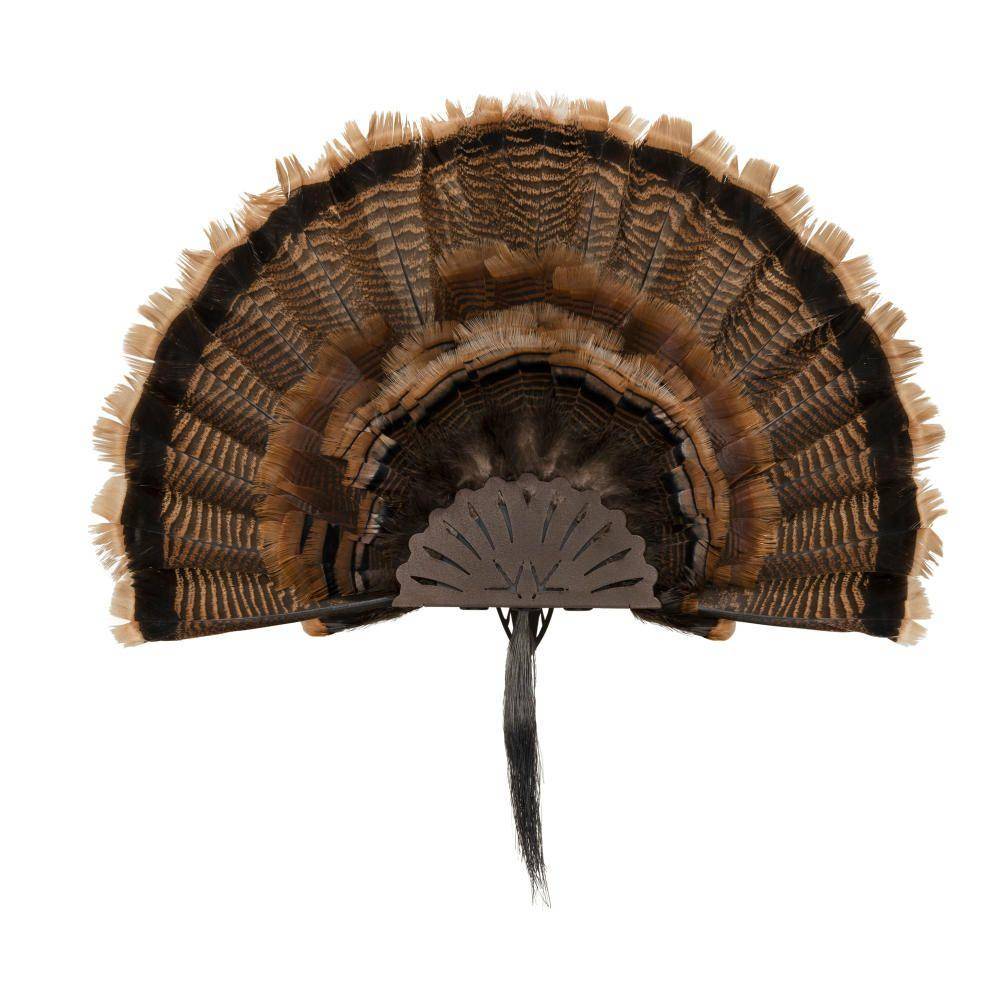 Allen EZ Mount Turkey Fan Display Brown - Image 4