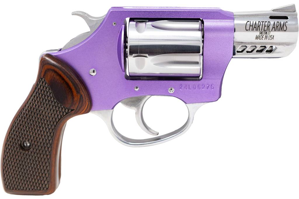 Charter Arms Coyote Lavender & SS .380 ACP 5 Shot 2''