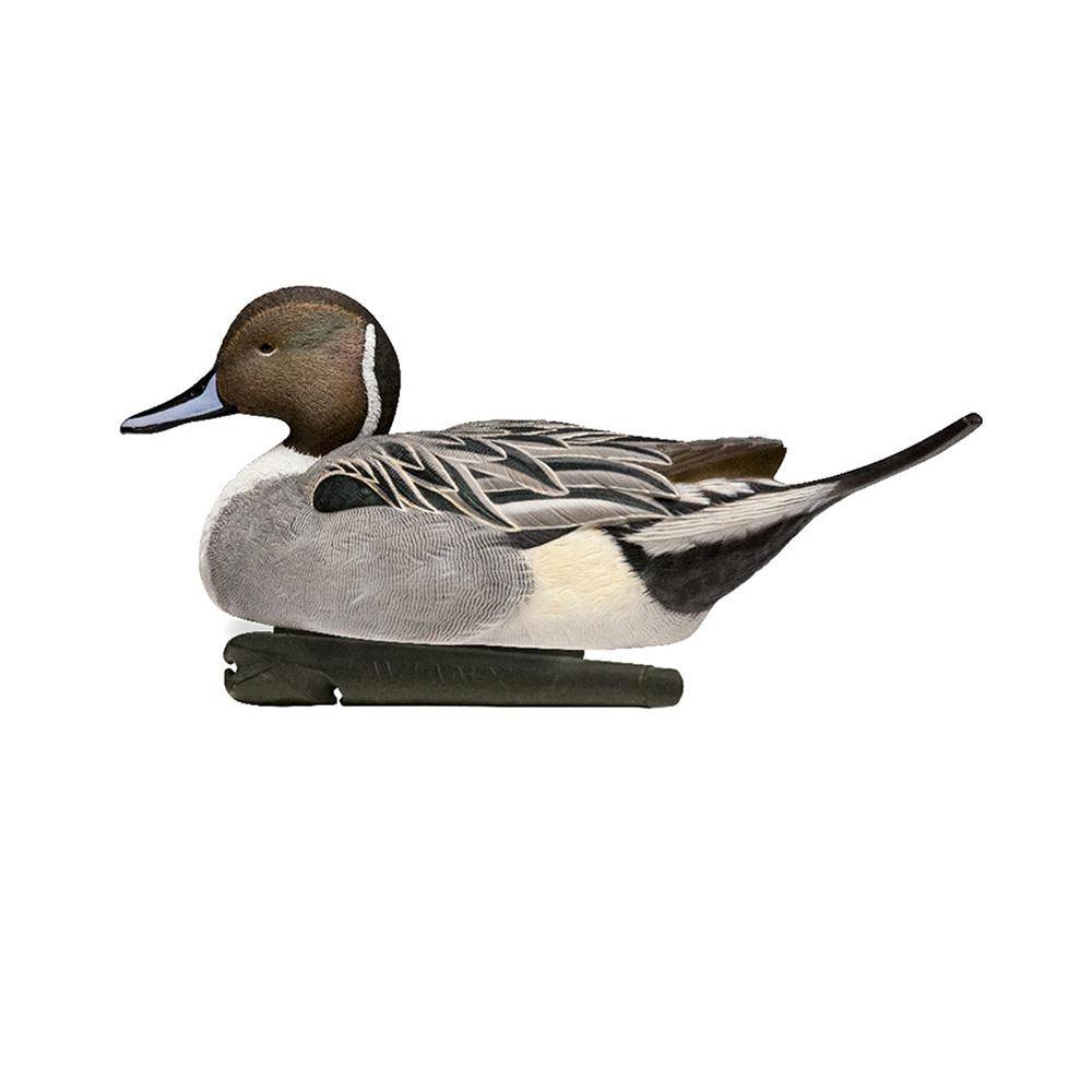 Avian-X Topflight Pintails Duck Decoys 6/ct - Image 3