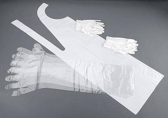 Allen Field Dressing Glove - 2-Pair