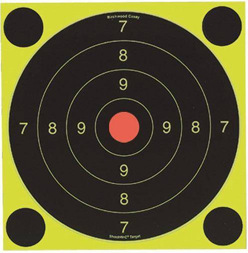 Birchwood Casey Shoot-N-C International Target