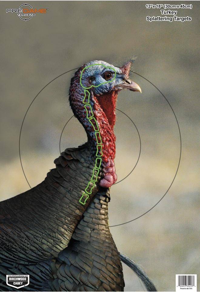 Birchwood Casey Pregame Targets - Turkey 12"x18" 8 Pack