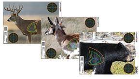 Champion Visicolor Real Life Target - Big Game