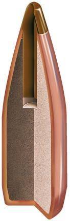 Hornady NTX Bullets .20 cal .204" 24 gr NTX 100/ct