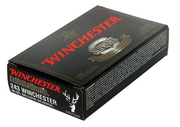 Winchester Ballistic Silvertip Rifle Ammunition .243 Win 95 gr. PT 3100 fps 20/ct