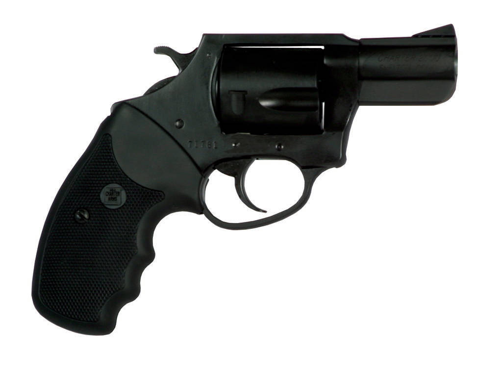 Charter Arms Pug Handgun .357 Mag 5rd Capacity 2.2" Barrel Full Grip