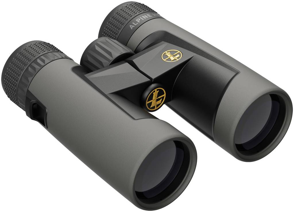 Leupold BX-2 Alpine HD Binocular 10x42mm Roof Prism - Shadow Gray