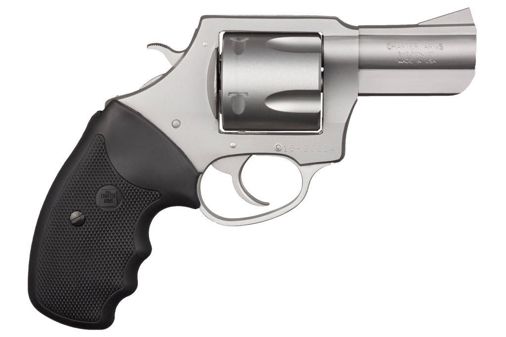 Pitbull 45ACP LRG FRAME 5/shot STS 2.5"