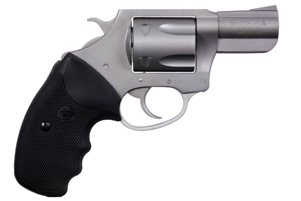 Charter Arms Pitbull Handgun 9mm Luger 5rd Capacity 2.2" Barrel Stainless with Black Grip