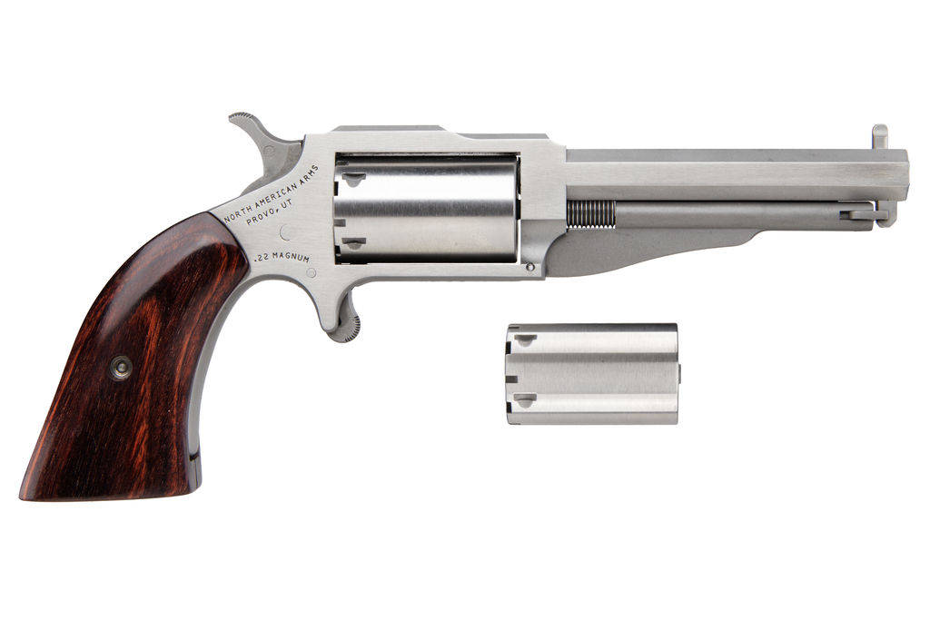 NAA "THE EARL" MINI-REVOLVER