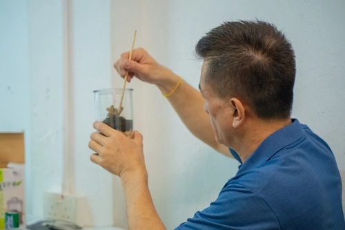 DIY Mini Terrarium Crafting - Terrarium Workshop Singapore