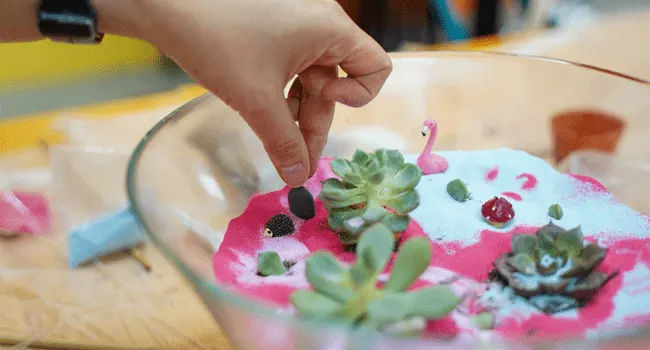 Group Terrarium Workshop Singapore