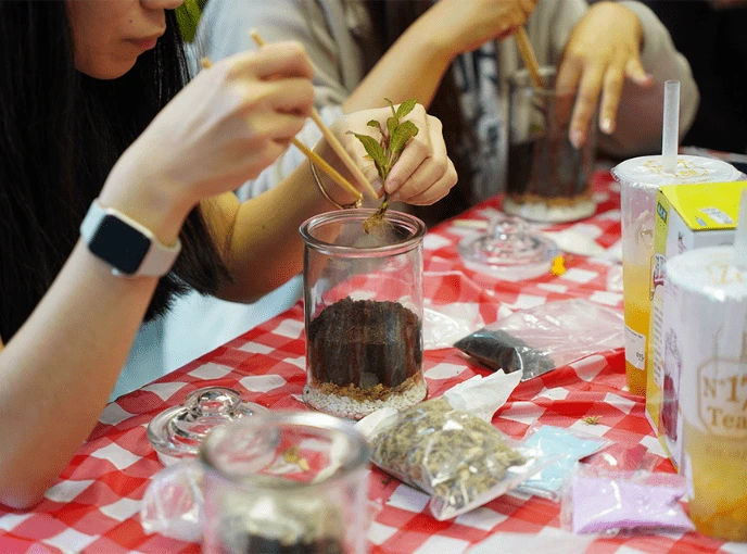 Terrarium Singapore