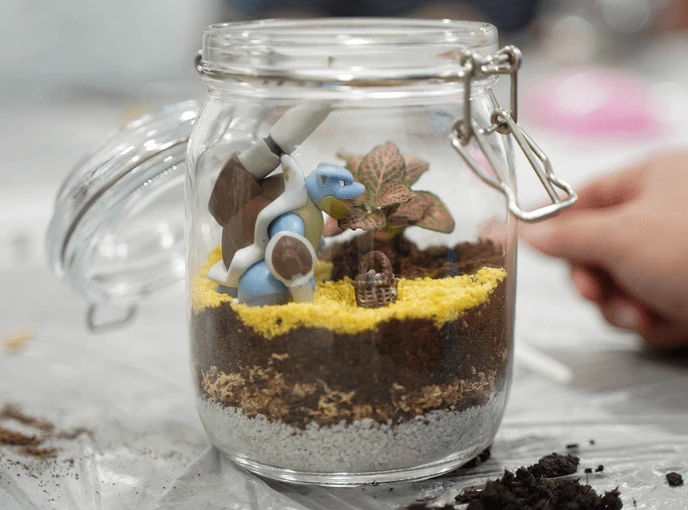 Terrarium Singapore