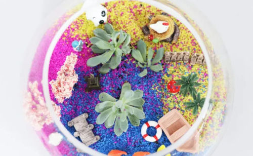 Make Your Own Terrarium Singapore