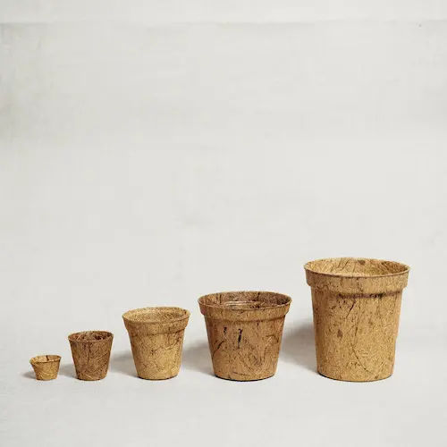 Biodegradable Coconut Fiber Pot - Plant Gifts Singapore (Credit: Potta Plantta)