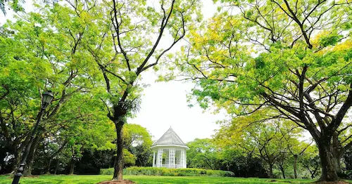 Singapore Botanic Gardens - Best Date Ideas Singapore