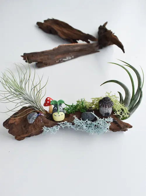 Crafts For Green - Terrarium Making Singapore