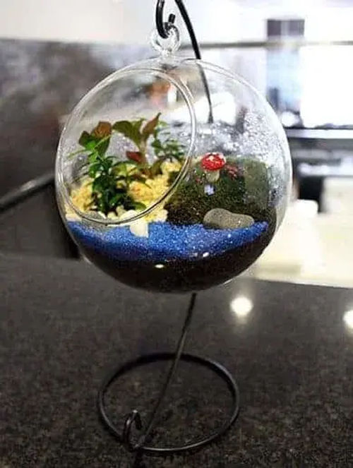 Ecoponics - Terrarium Singapore