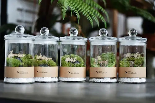 InOut Atelier - Cheap Terrarium Workshop Singapore (Credit: InOut Atelier)