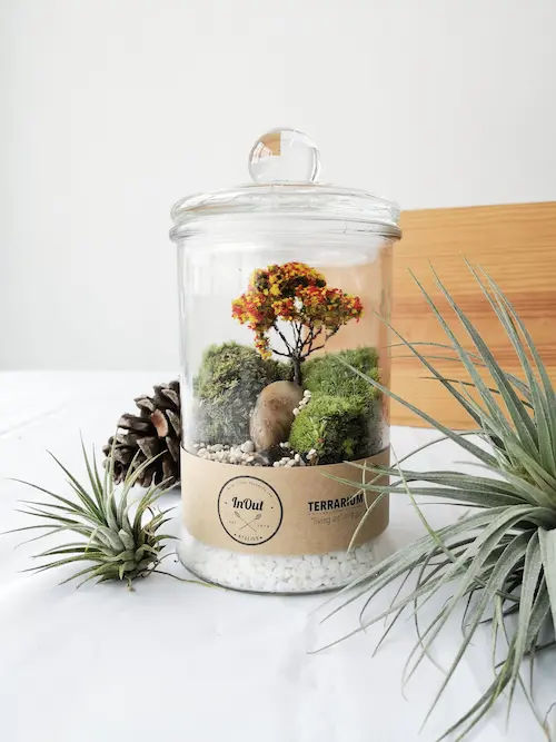 InOut Atelier - Terrarium Singapore