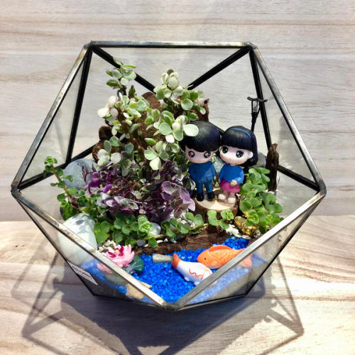 Lush Glass Door - Terrarium Supplies Singapore