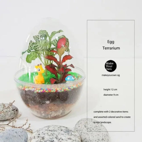 Make Your Own - Terrarium Making Singapore