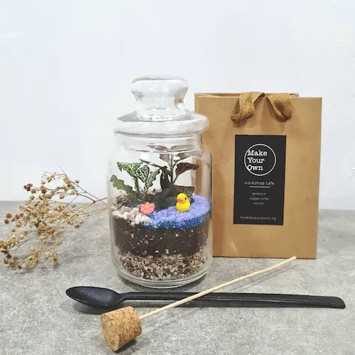 Make Your Own - Cheap Terrarium Workshop Singapore (Credit: Make Your Own)