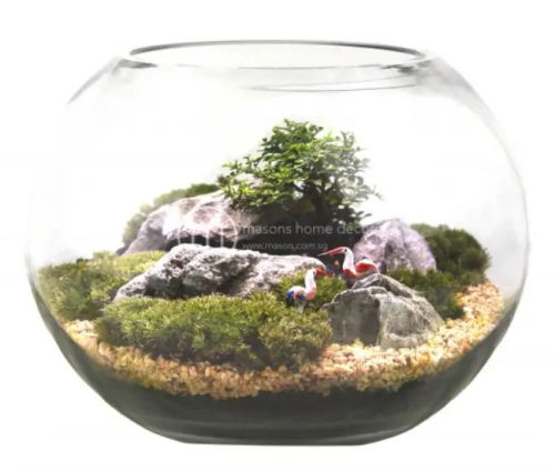 Mason Home Decor - Best Terrarium Shop Singapore