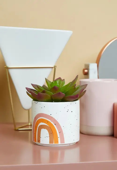 Mini Planter - Plant Gifts Singapore (Credit: NAMSHI Oman)