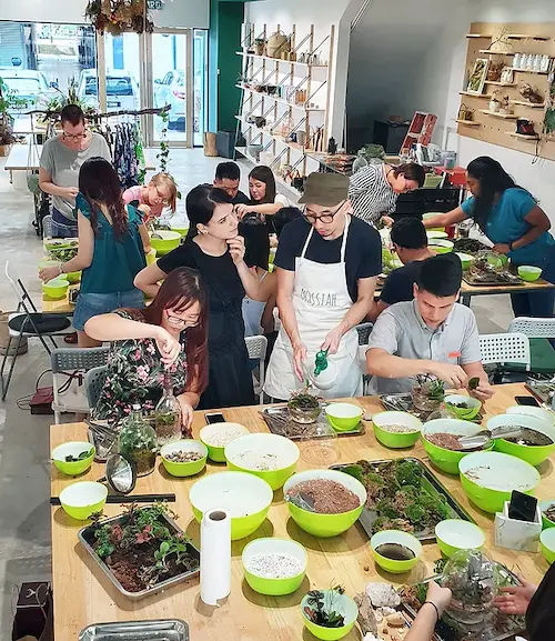 Ohsum Mossum - Cheap Terrarium Workshop Singapore (Credit: Ohsum Mossum)